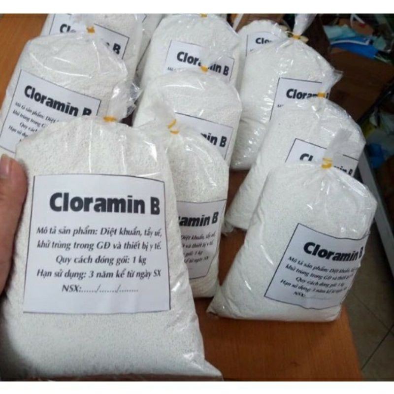 Bột sát trùng, diệt trùng nước, nhà, đồ vật Cloramin B( túi 1kg)