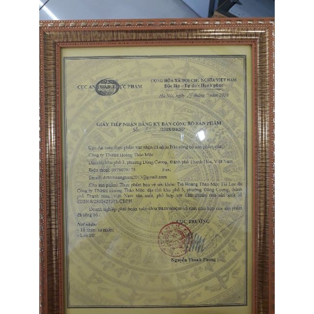 Trà Hoàng Thảo Mộc túi lọc-  hỗ trợ cho người mắc bệnh dạ dày, tim mạch, tiểu đường