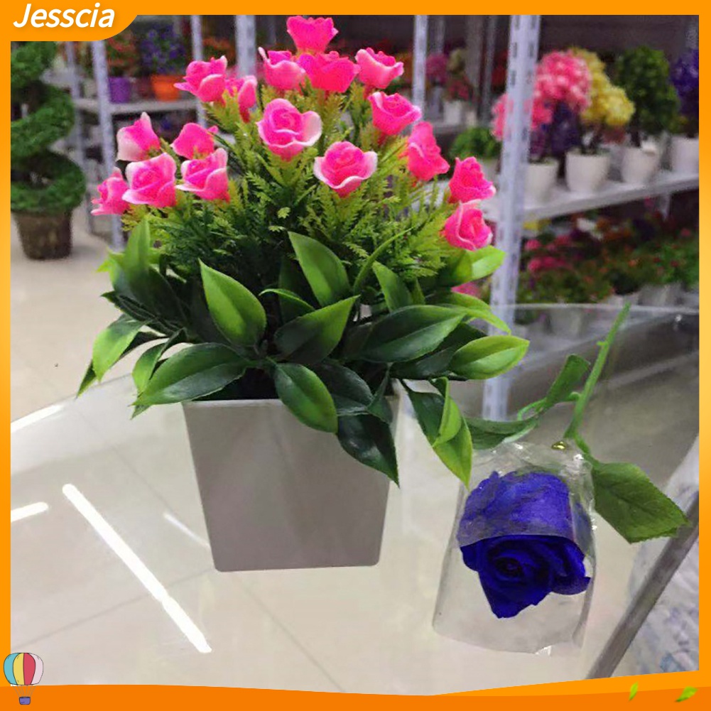 Jessica| Chậu Cây Giả Mini Bằng Nhựa Thân Thiện Với Môi Trường Dùng Trang Trí Nhà Cửa