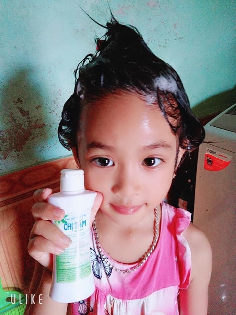 Dầu gội chấy chí chị Tấm- Thanh mộc hương