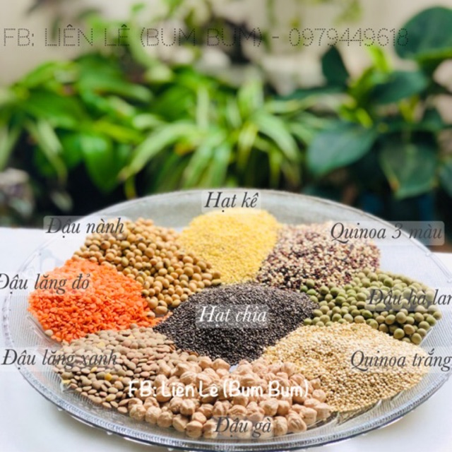 Đậu hạt hữu cơ gói 50g- 100g - Đậu gà hữu cơ