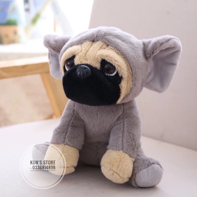 Gấu bông chó Pug siêu xinhhh (ỏrder và có sẵn)