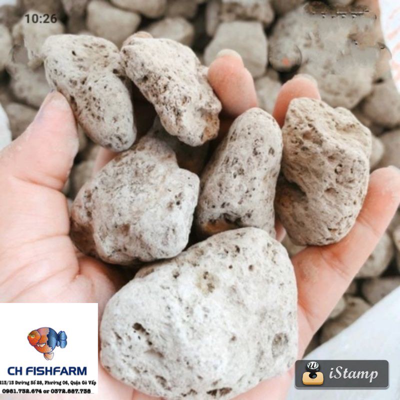 1 BAO ĐÁ LÔNG VŨ - NHAM THẠCH TRẮNG SIZE TRUNG 2-4cm