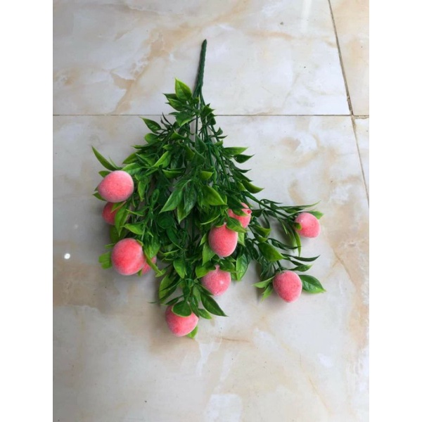 Cụm quả điểm các loại _quả trang trí.