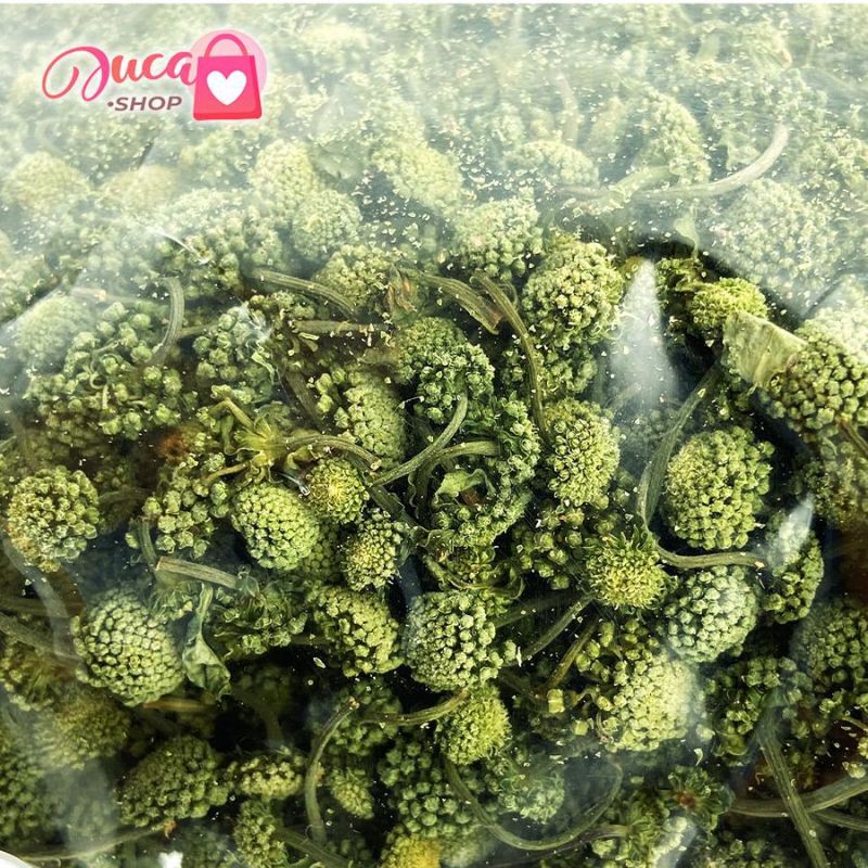 Nụ hoa tam thất Bao Tử khô 100g | BigBuy360 - bigbuy360.vn