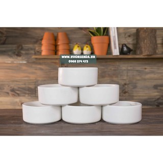 Chậu trụ thấp trắng 16x7cm - Vườn sen đá