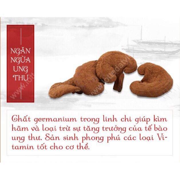 Nấm Linh Chi Đỏ Thái Lát Hàn Quốc Túi 0,5kg