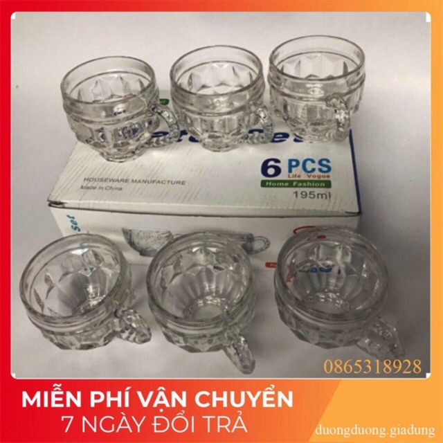 Bộ 6 cốc thủy tinh trắng có quai đẹp