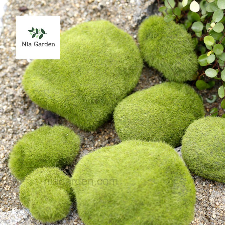 Tiểu cảnh rêu nhân tạo trang trí hồ cá bể cá chậu cây Nia Garden N5