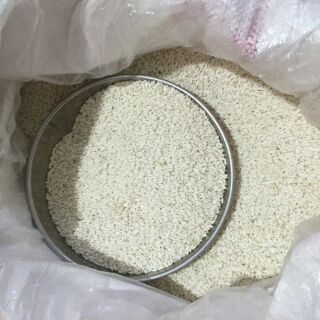 Nếp thái 1kg