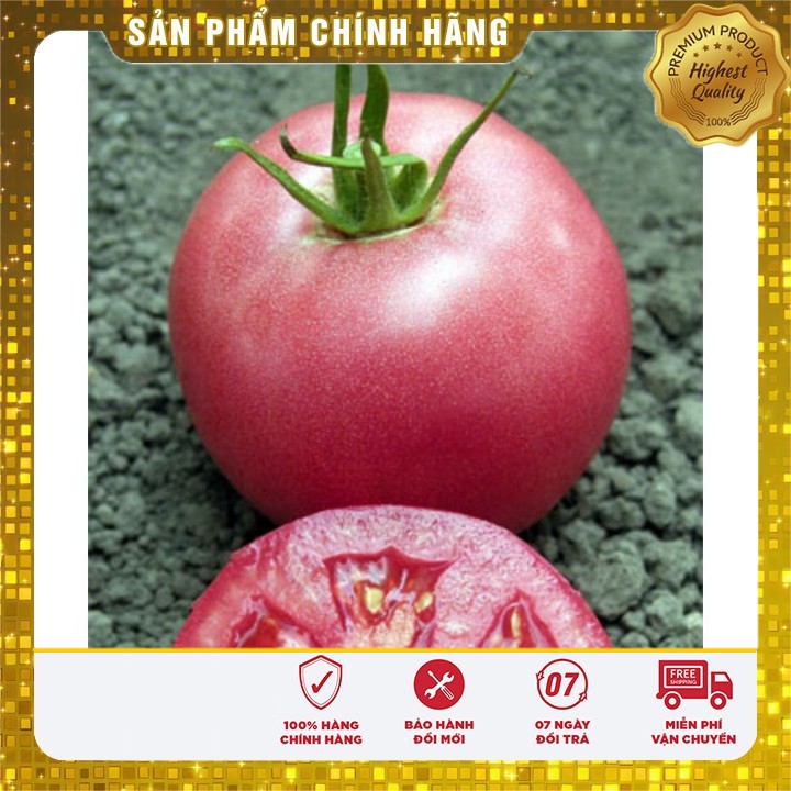 Hạt giống cà chua hồng LUCKY SEED -30 hạt