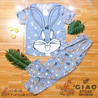 Đồ bộ thun quảng châu giảm giá