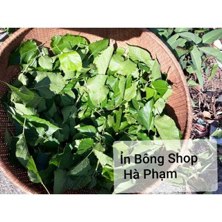 Lá Dâu Tằm Tươi (Nửa kg)thức ăn tép cảnh