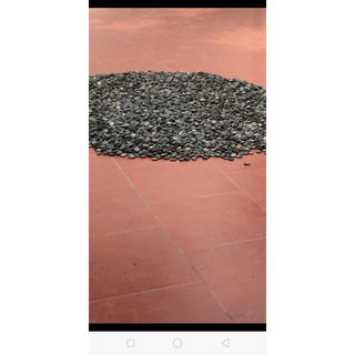 1kg hạt gấc rang thơm,giã nhỏ