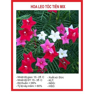 Combo hạt giống 2500K