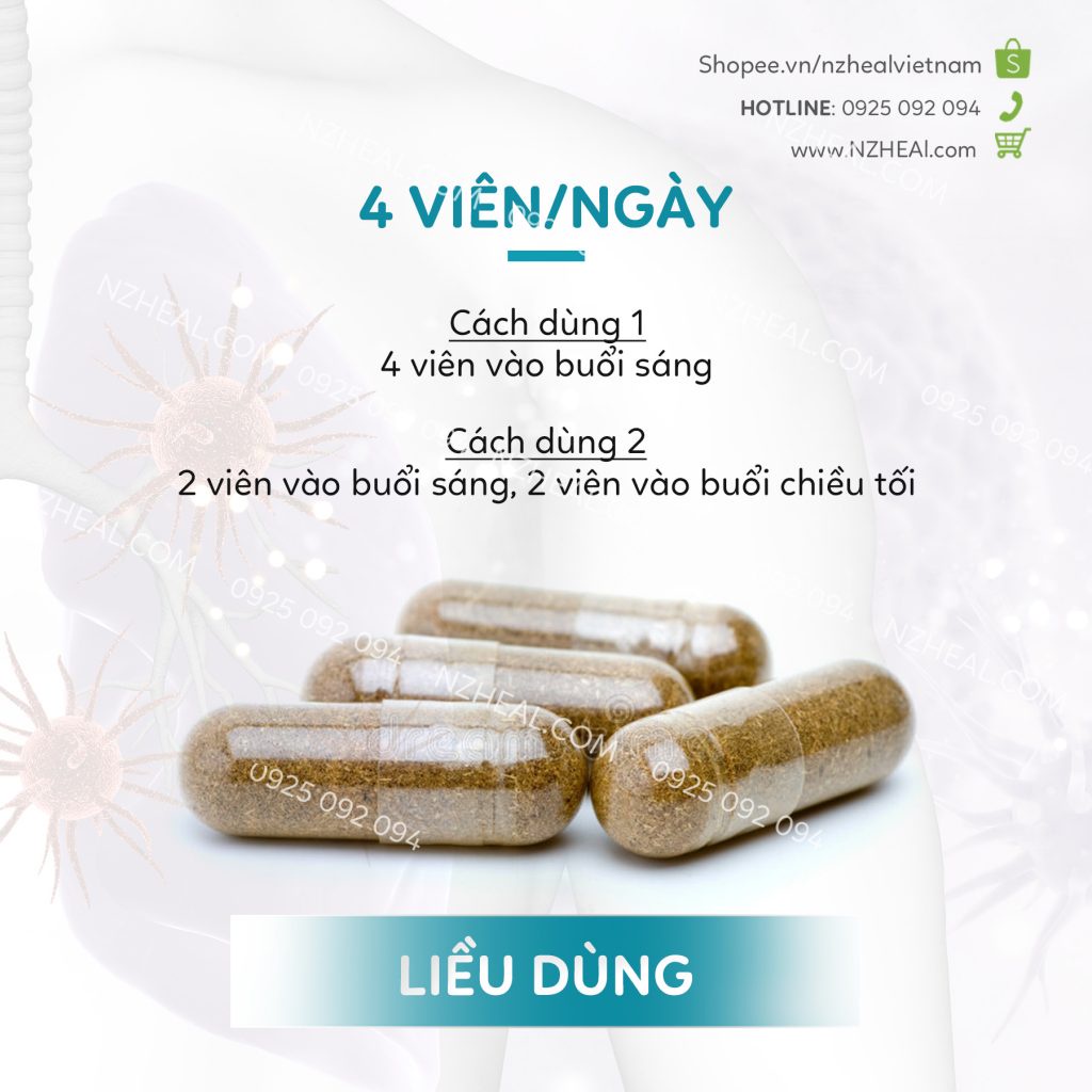 [Hỏa tốc] Viên Uống Bổ Phổi Xtend Life Lung Support Plus (120 Viên)