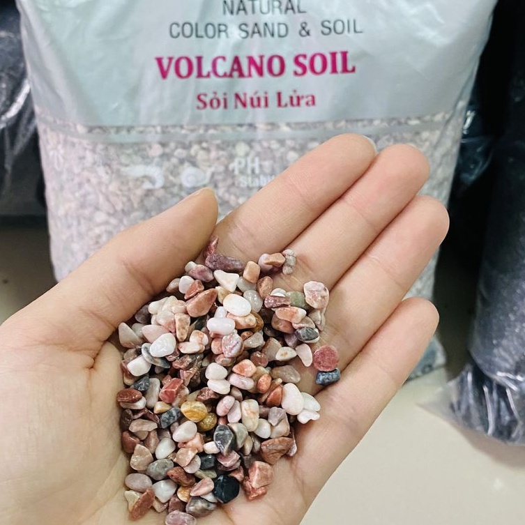 Sỏi Núi Lửa 500gr - Trải Nền Trang Trí Bể Cá, Bể Thủy Sinh, Sen đá