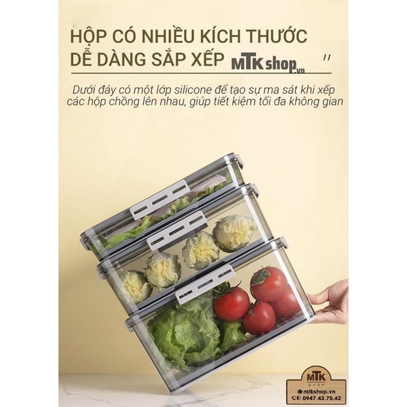 HỘP NHỰA ĐỰNG THỰC PHẨM CÓ LÓT ĐÁY
