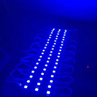 Led 12V 3 Bóng Siêu Sáng 🍀Đèn 12V trang trí Bể Cá deco tiểu cảnh