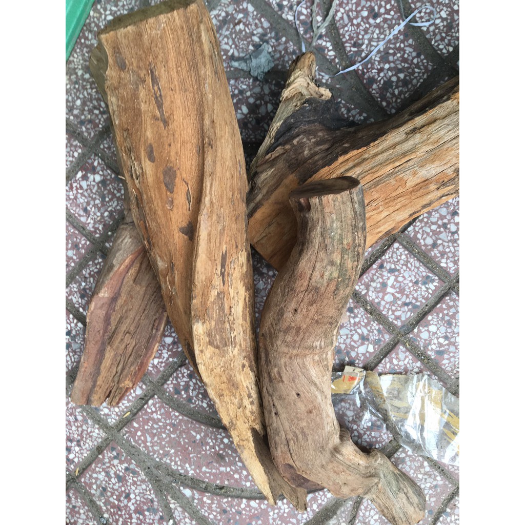 4 Kg Rễ gỗ nghiến ghép lan dài 25 đến 30 cm