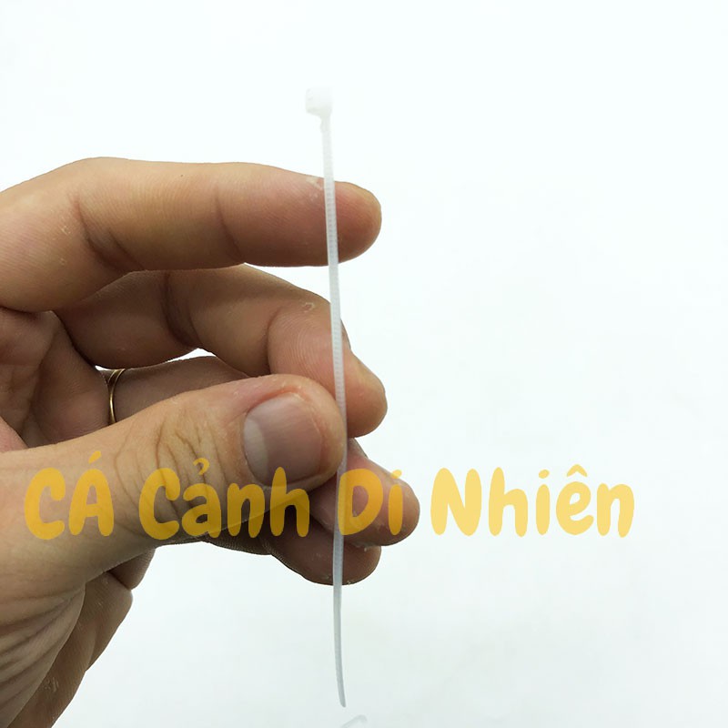 Dây rút nhựa 10 cm trắng thít nhựa HUADA lạc nhựa khóa đồ