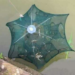 Lưới đánh cá Bát Quái