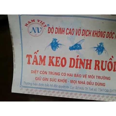 [RẺ VÔ ĐỊCH] SỈ 10 TẤM KEO DÍNH RUỒI SIÊU CHẮC