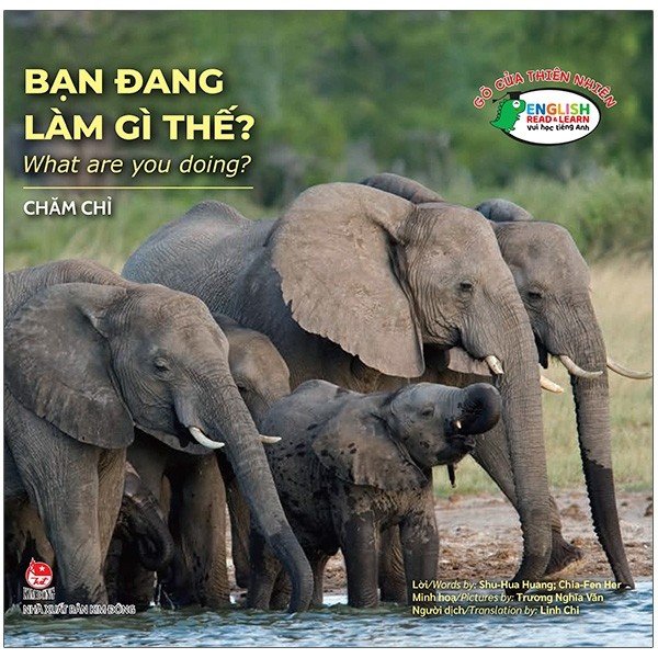 Sách - Gõ Cửa Thiên Nhiên - Bạn Đang Làm Gì Thế? - Chăm Chỉ - What Are You Doing?