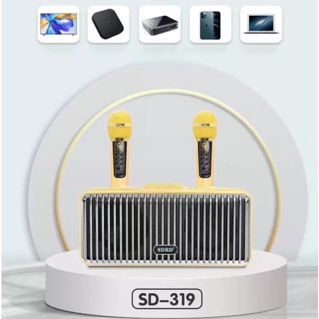Loa Karaoke SDRD SD-319 Kèm 2 Micro Không Dây Màn Hình LCD, Chỉnh EQ, Echo, Vol Trên Micro