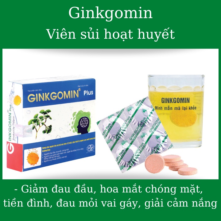 Viên sủi an thần, hoạt huyết Ginkgomin, tăng cường trí nhớ, chống say nắng, tăng cường hoạt huyết, giảm tê mỏi vai gáy