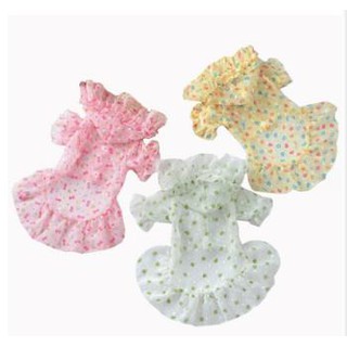 Áo Mưa Dễ Thương Cho Thú Cưng lily1088