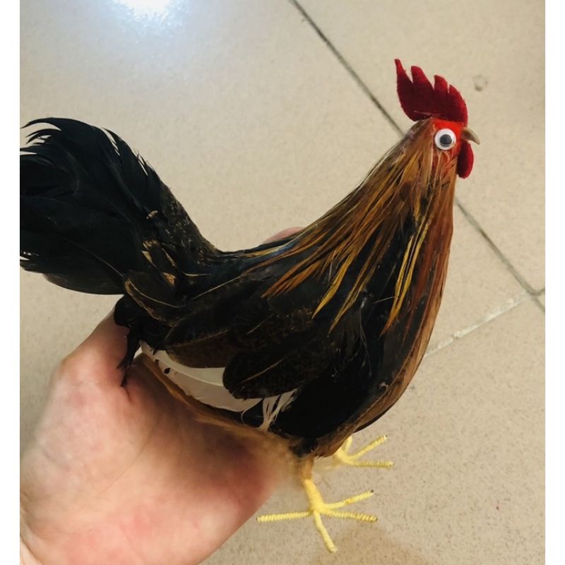 Đồ chơi mô hình chú gà trống handmade như thật