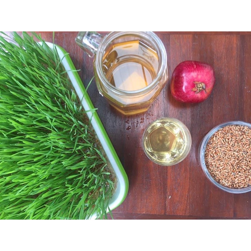 100g bột cỏ lúa mỳ oganic