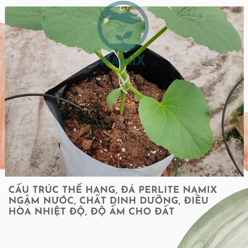 Đá Perlite- đá trân châu Namix- làm giá thể trồng hoa-TÚI 5DM