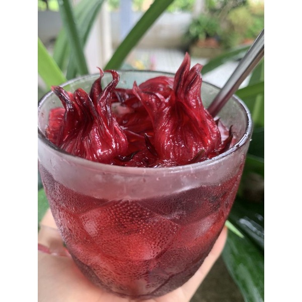 Siro hoa atisô đỏ (hibiscus) có mứt 1kg rất đậm đặc