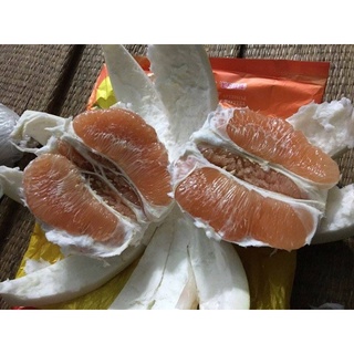 Bưởi lùn Tứ Xuyên
