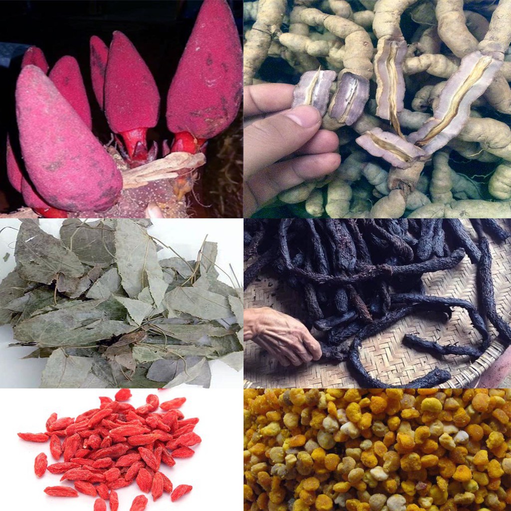 Combo 1kg Gồm 6 Vị Ngâm Rượu Bổ Thận: Nấm Ngọc Cẩu; Ba kích, Nhục Thung Dung, Kỷ Tử, Dâm Dương Hoắc, Phấn Hoa