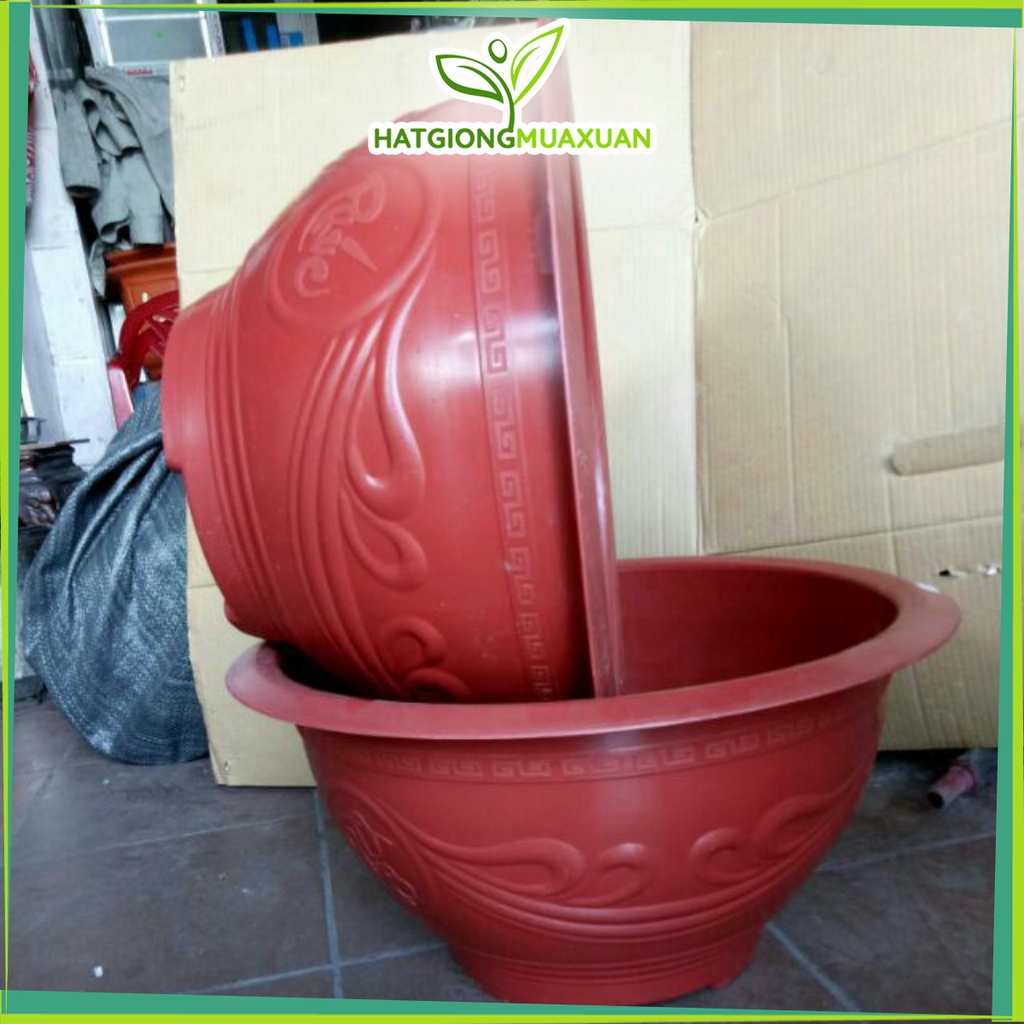 [HOT] 10 chậu nhựa trồng cây T48 đỏ 46x25cm