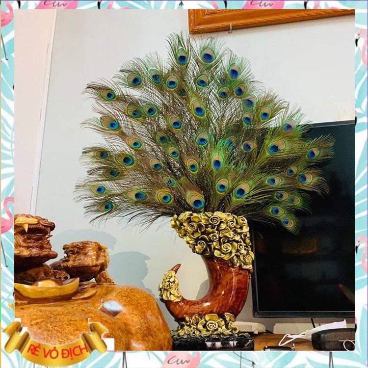 LÔNG CÔNG PHONG THỦY 🌿 FREESHIP 🌿 GIẢM CHỈ CÒN 5K/ CÀNH LÔNG CÔNG 100% TỰ NHIÊN (LÔNG CÔNG ĐẸP) | BigBuy360 - bigbuy360.vn