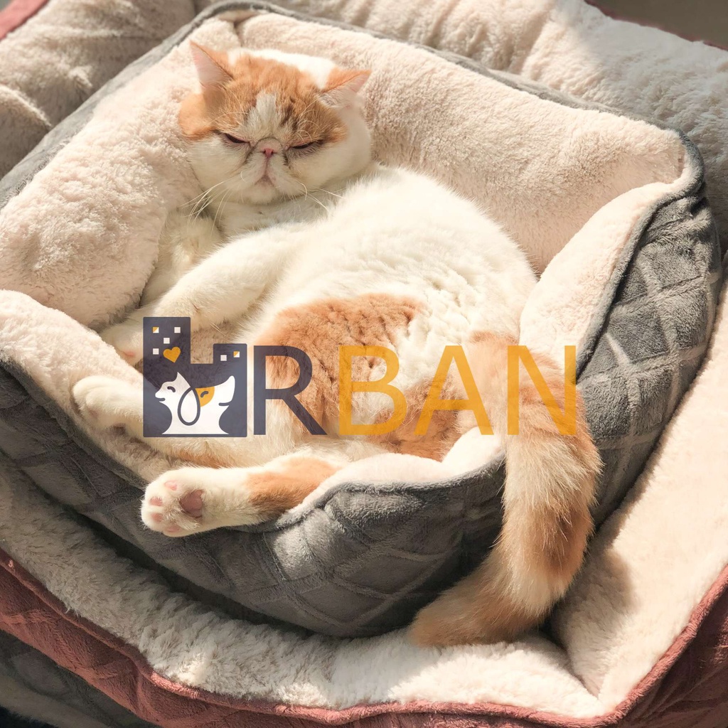 𝗨𝗿𝗯𝗮𝗻_Đệm/ổ nệm bo 4 góc cho thú cưng_Size dưới 10kg