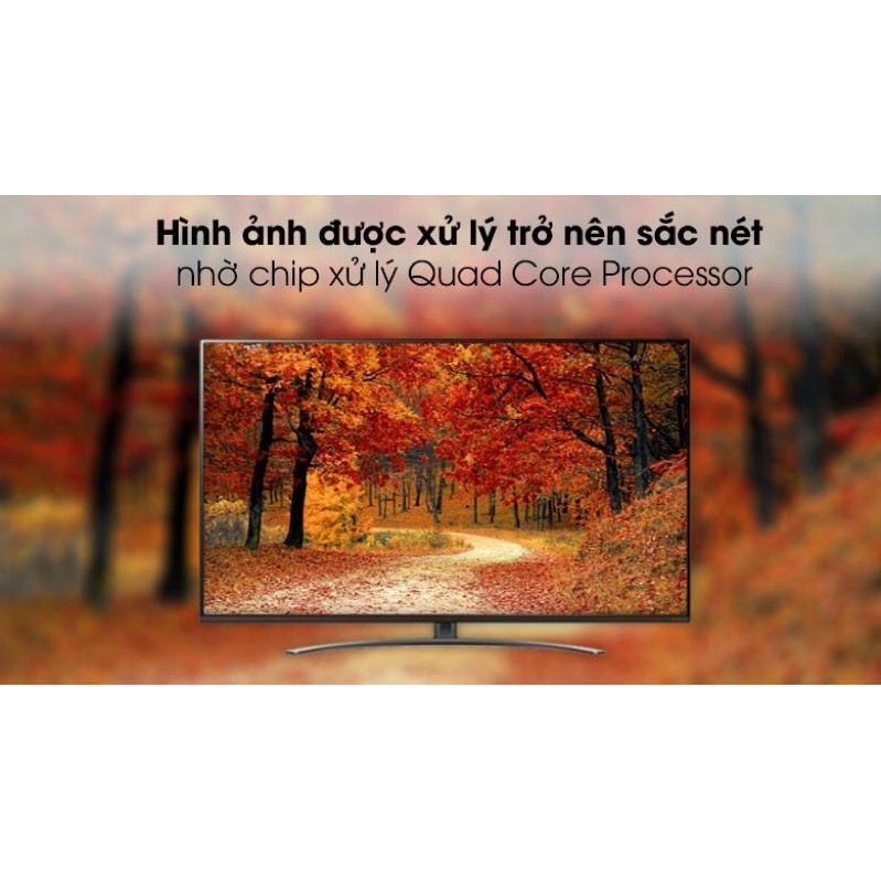 Smart tivi NanoCell LG 4K 49inch 49NAN081TNA. Model 2020 | BigBuy360 - bigbuy360.vn
