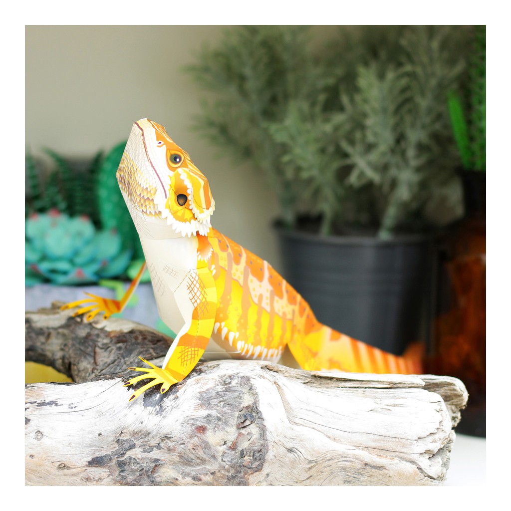 Mô hình giấy động vật bò sát Central Bearded Dragon