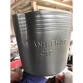 Combo 10 chậu nhựa đen c10