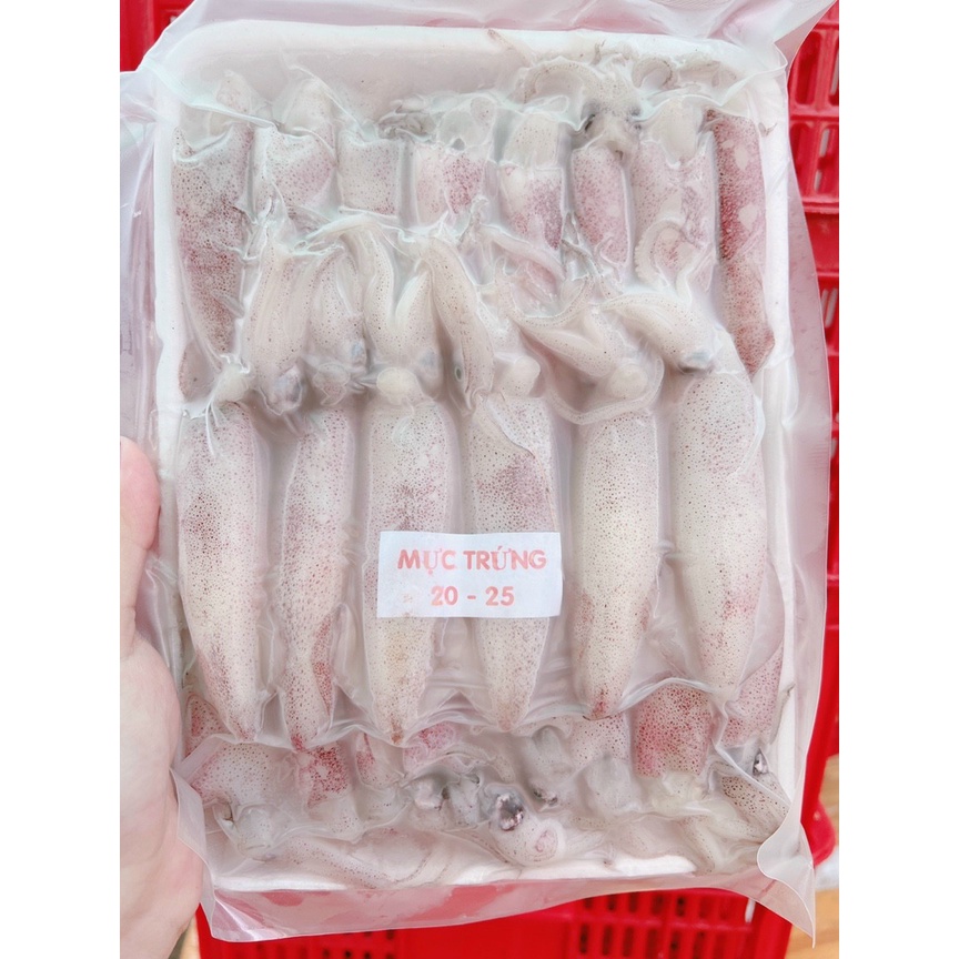1kg Mực Trứng Siu Tươi Ngon ( size 20-25 con_ giao hỏa tốc HCM)