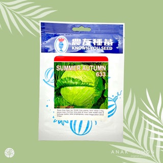 Hạt giống bắp cải bắp cải xanh f1 20h