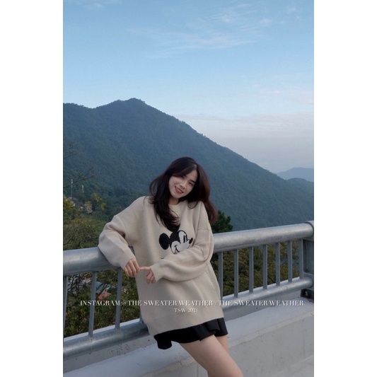 (Ảnh thật) Áo len hình thú chất đanh mịn oversize form giấu quần the.sweaterweather TSW | BigBuy360 - bigbuy360.vn