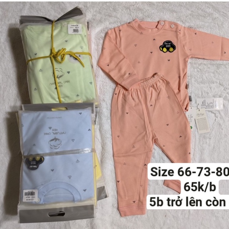 THANH LÝ - Bộ DÀI TAY CÀI VAI THU ĐÔNG 100% cotton co dãn 4 chiều cao cấp