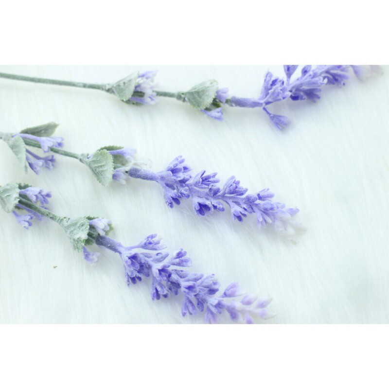 Cành hoa  oải hương-Lavender loại phủ phấn cao cấp