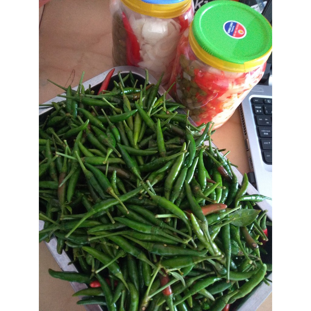 Ớt Kim Xanh Siêu Cay Ngon