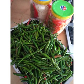 Ớt Kim Xanh Siêu Cay Ngon